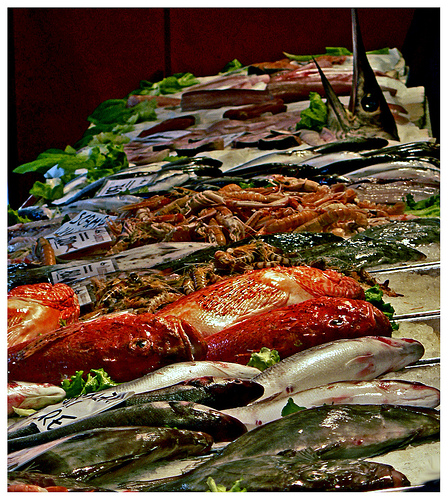 Fish at Rialto Market, Venezia by Eugenio